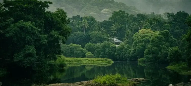 7 Scenic Road Trips in Kerala You Should Experience